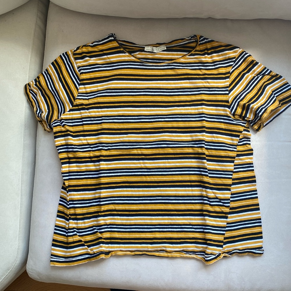 Zara Top